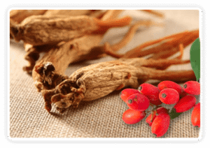 Korean Red Ginseng