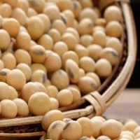 Phosphatidylserine complex