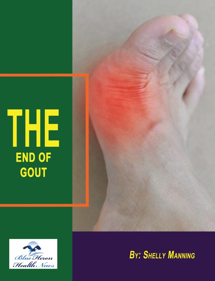 The End of Gout Shelly Manning Reviews